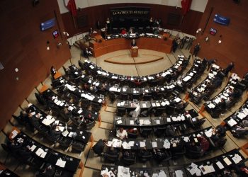 Presidenta del Senado pide elevar el nivel del debate legislativo